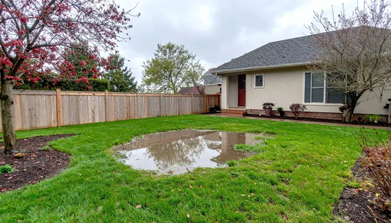 Ignoring Soil Drainage In Clay And Compacted Areas