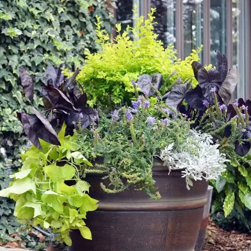 Managing Wind And Temperature Swings