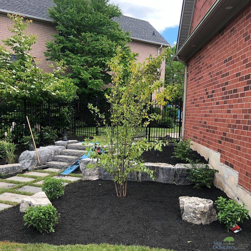 Ignoring Mulch Or Using It Incorrectly