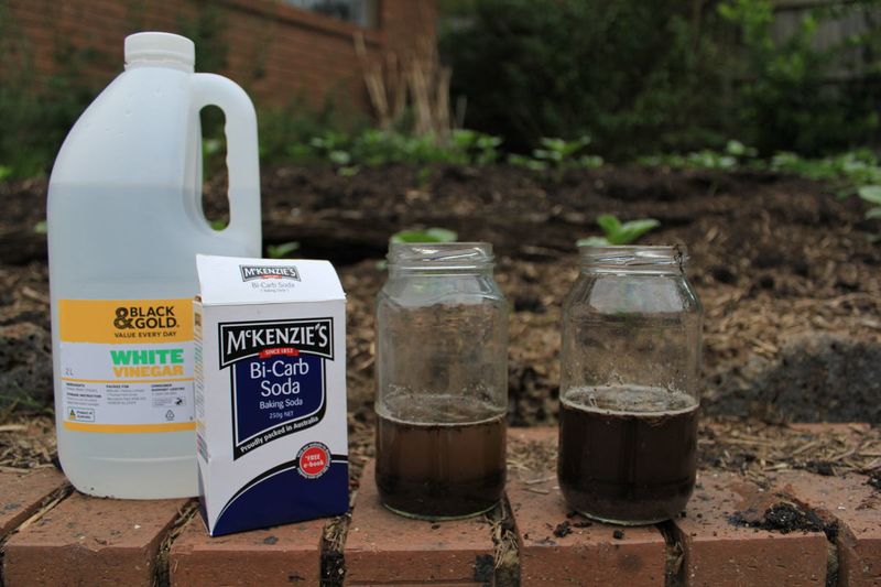 Tests And Adjusts Soil pH Levels