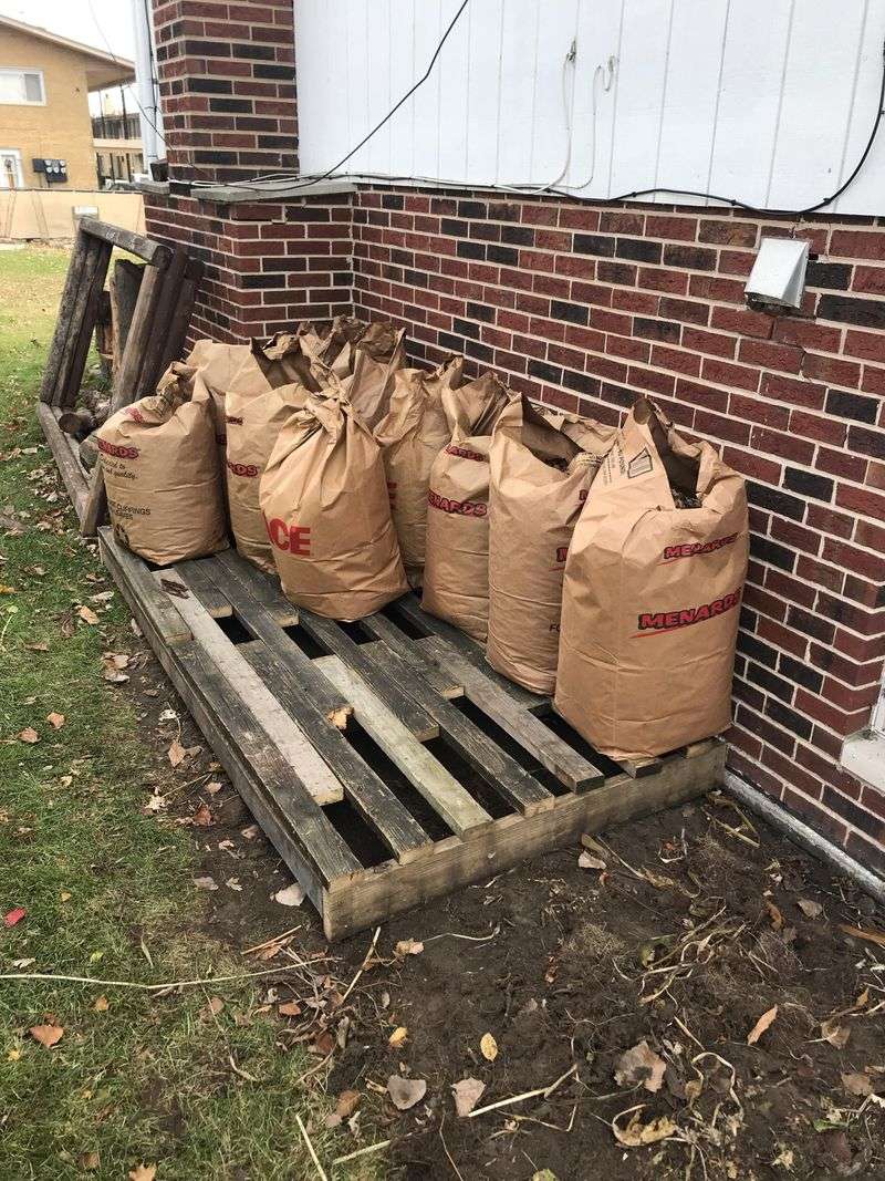 Store Dry Leaves For Spring Use