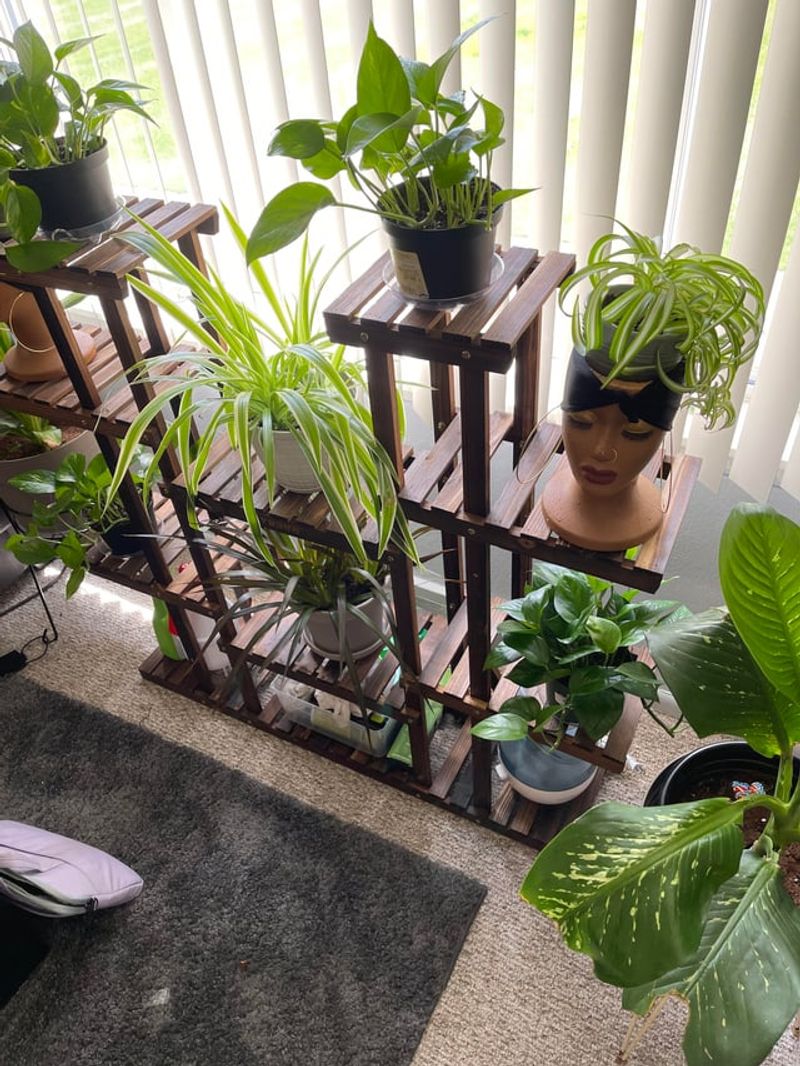 Using Sheer Curtains To Soften Sunlight