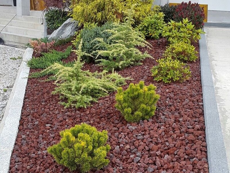 Lava Rock Garden Beds