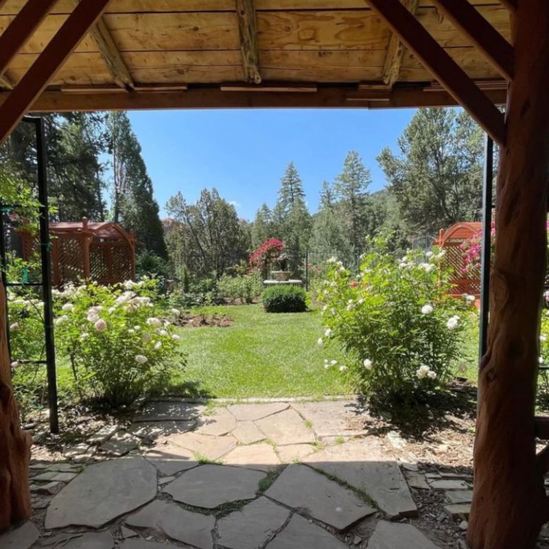 Community Trend and Social Inspiration