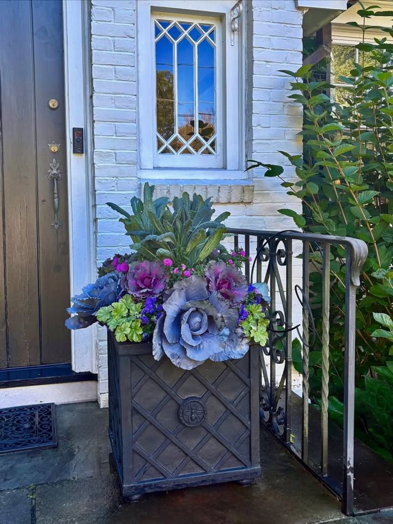 Container Gardens By The Entry