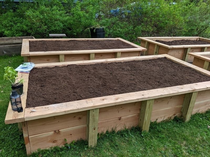 Why Florida Raised Beds Need A Different Soil Mix