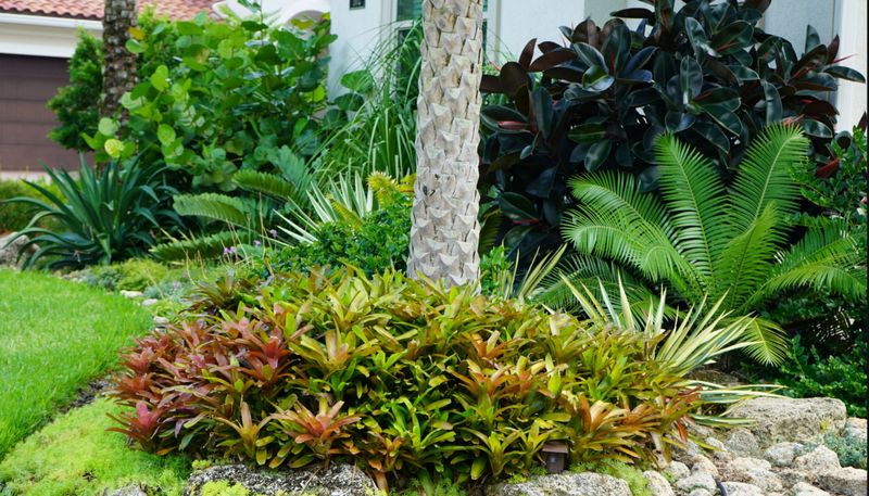 Drought-Tolerant Flower Beds