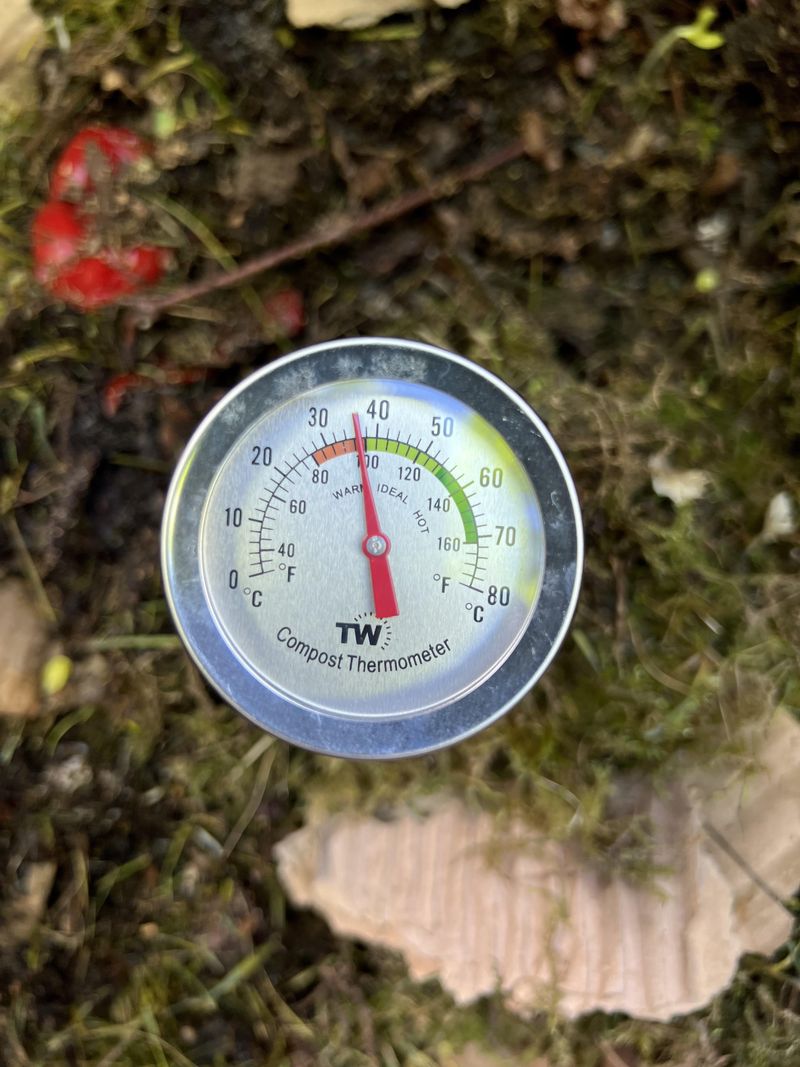 Why Air Temperature Can Be Misleading