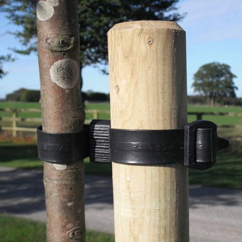 The Right Stakes And Ties That Won’t Damage Your Tree