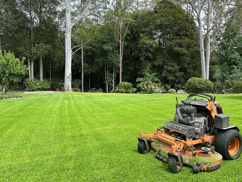 Final Winter Mow Before Thaw