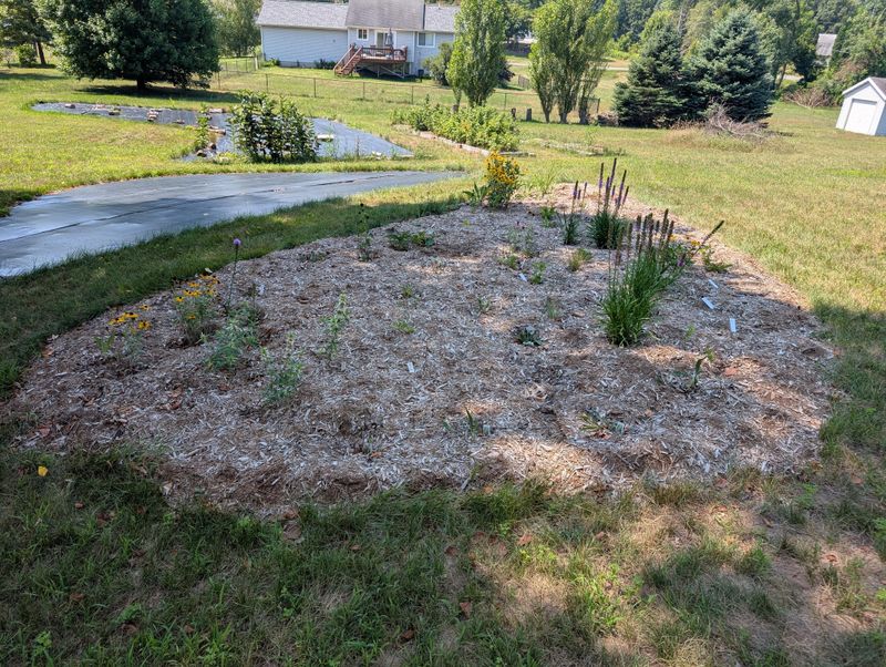 Fallen Leaves Smother Grass Below