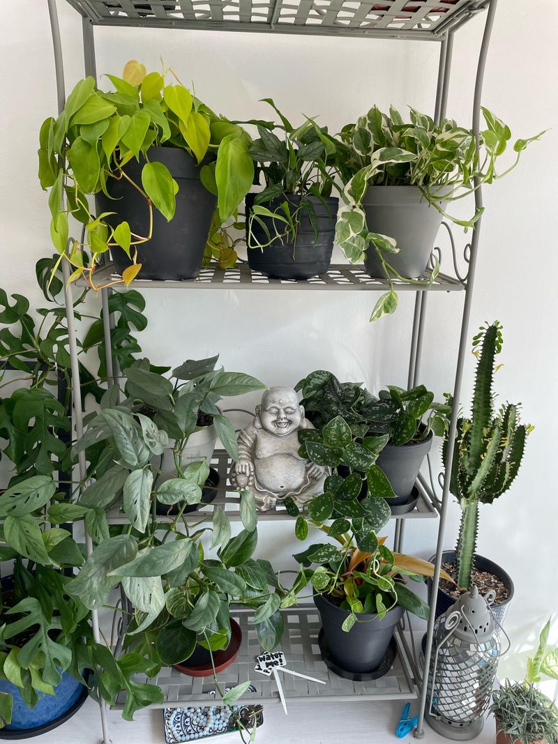 Using Pots Without Proper Drainage