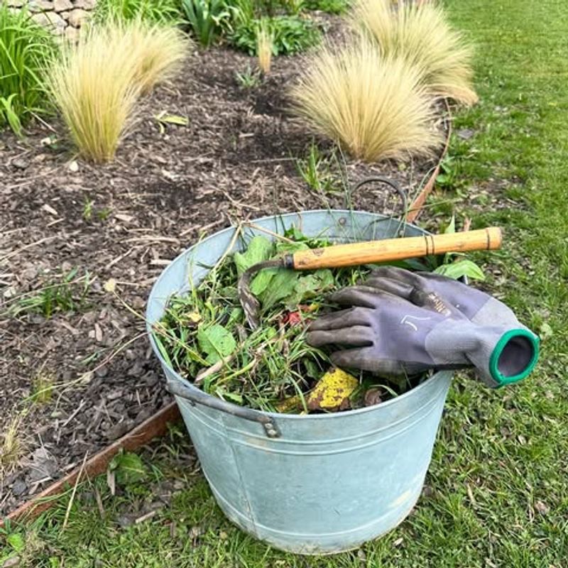 Neglecting Weeds Now