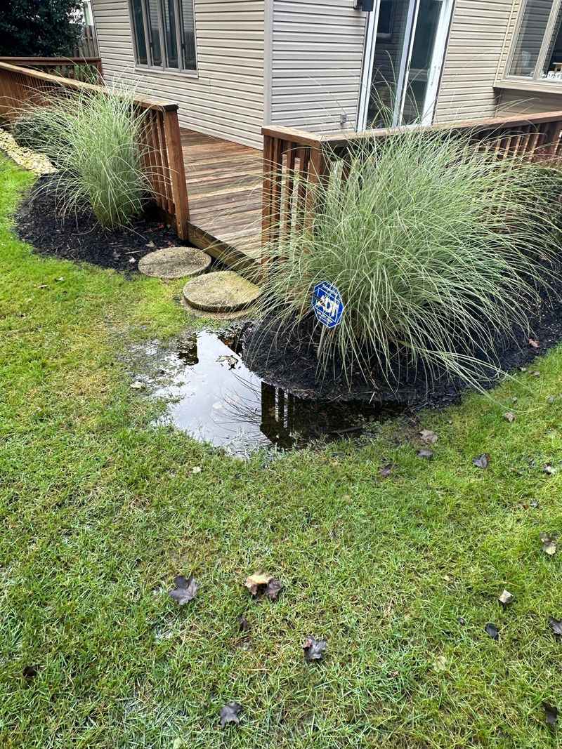 Yard Drainage And Low Spots