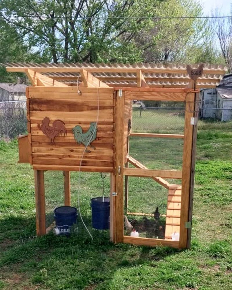 Backyard Chicken Coops