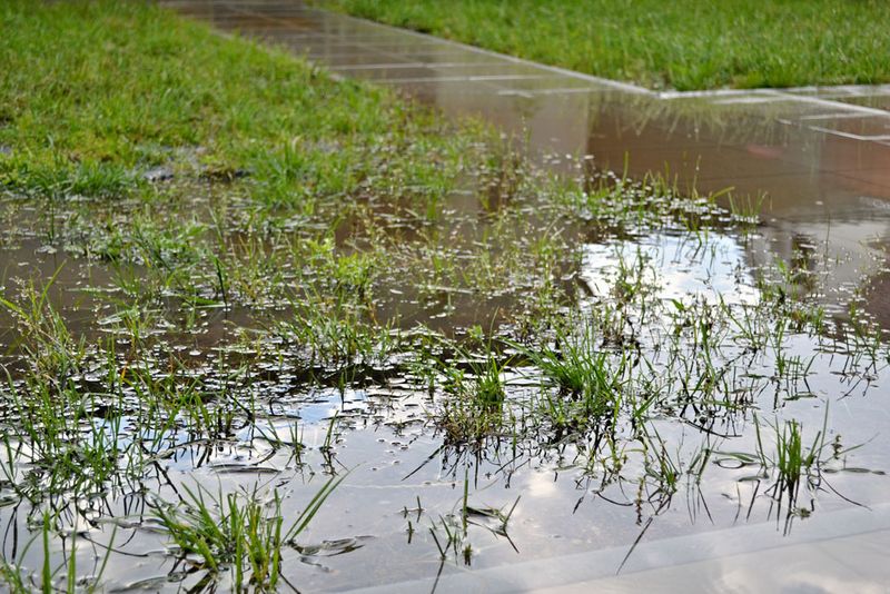 Rapid Temperature Swings Create Flooding