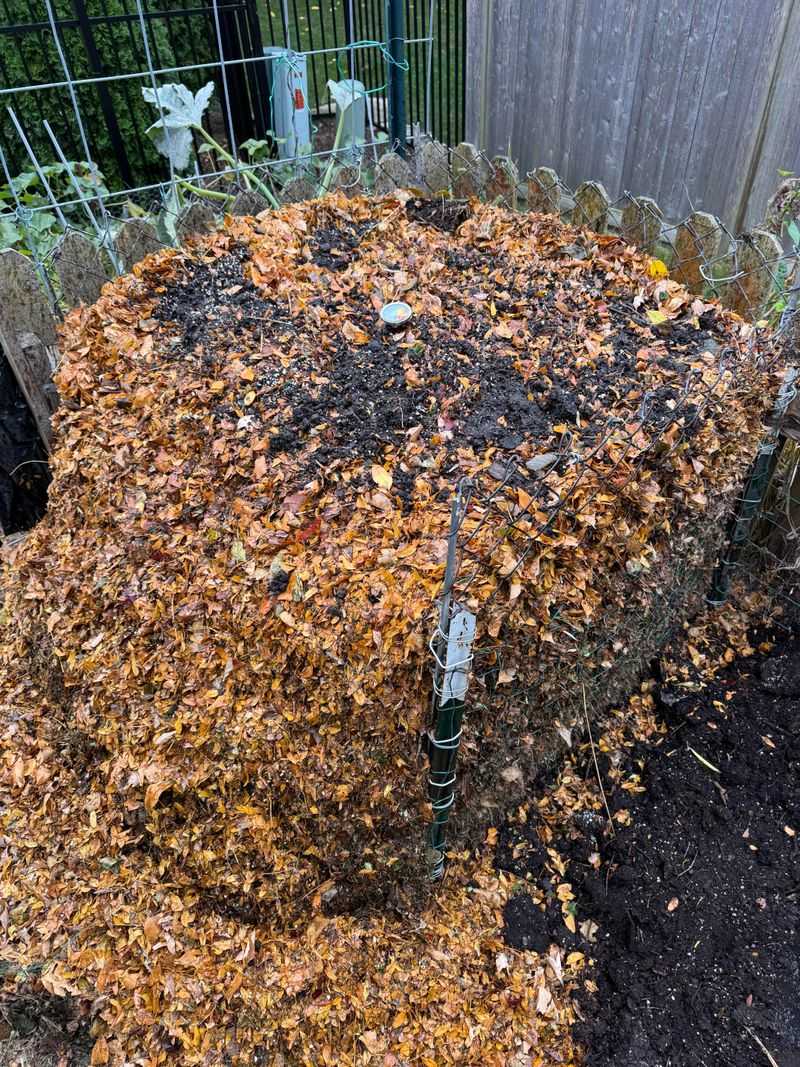 Lack Of Green Materials During Winter