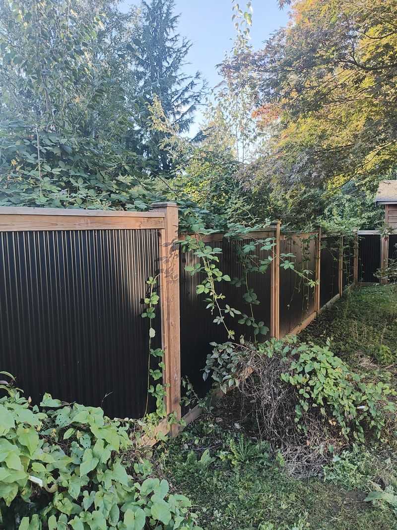 You Cannot Force Your Neighbor To Trim Their Own Plants