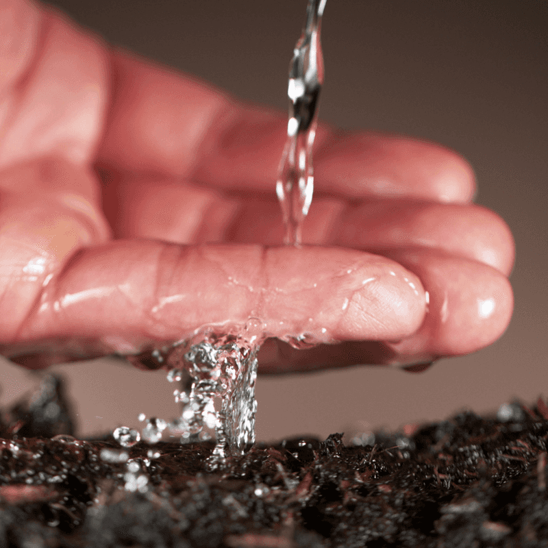 Excellent Drainage Is The Biggest Success Factor