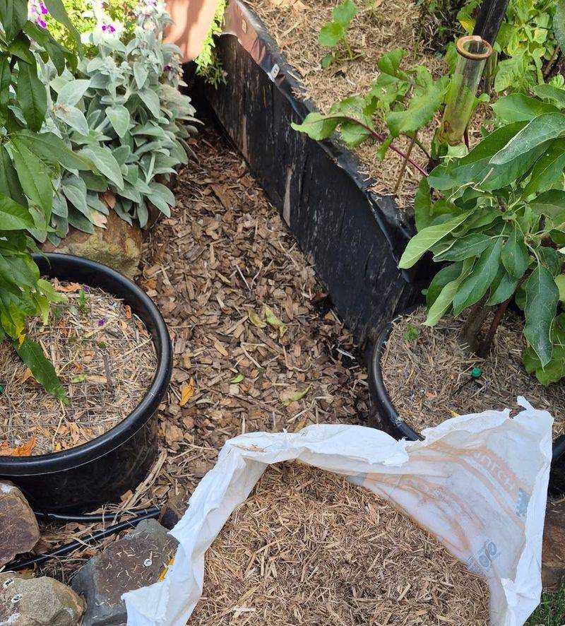 Skipping Mulch Protection