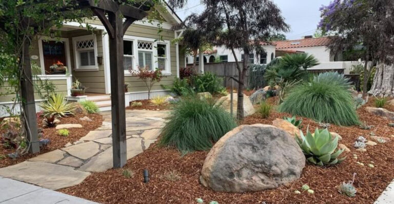 garden (featured image)