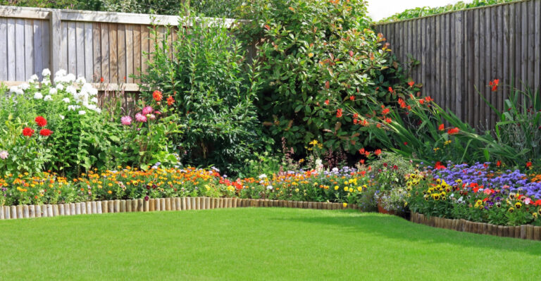 garden edging (featured image)