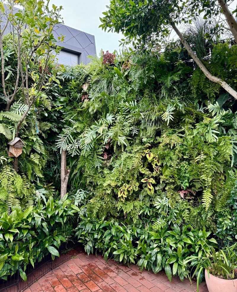 Vertical Garden Walls