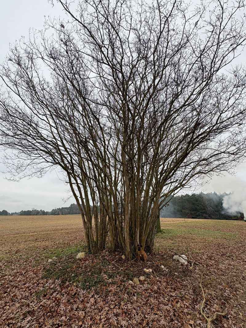 Small Timing Changes Are Making A Visible Difference