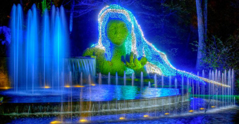 light show in botanical garden