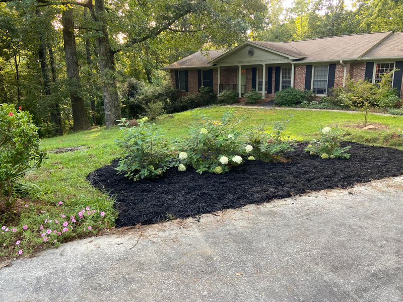 The Front Yard Started As A Mostly Empty Lawn