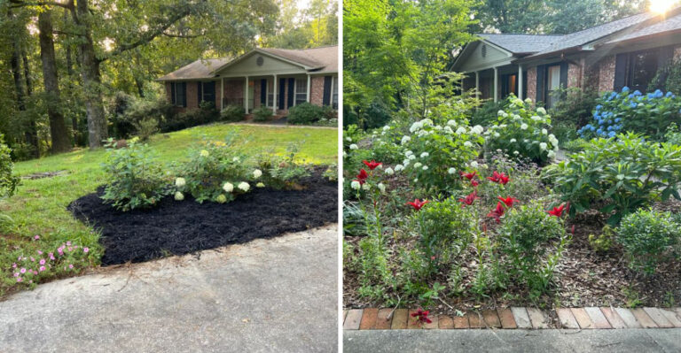 Georgia Homeowner Shares Before-And-After Photos Showing A Dreary Front Yard Transformation