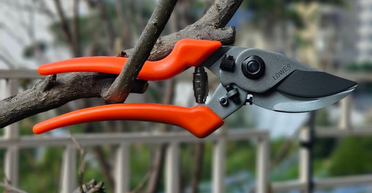 Georgia Homeowners Find Out The Difference Between Pruning Shears And Hand Pruners