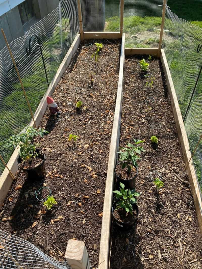 Prep Soil For Strong Roots