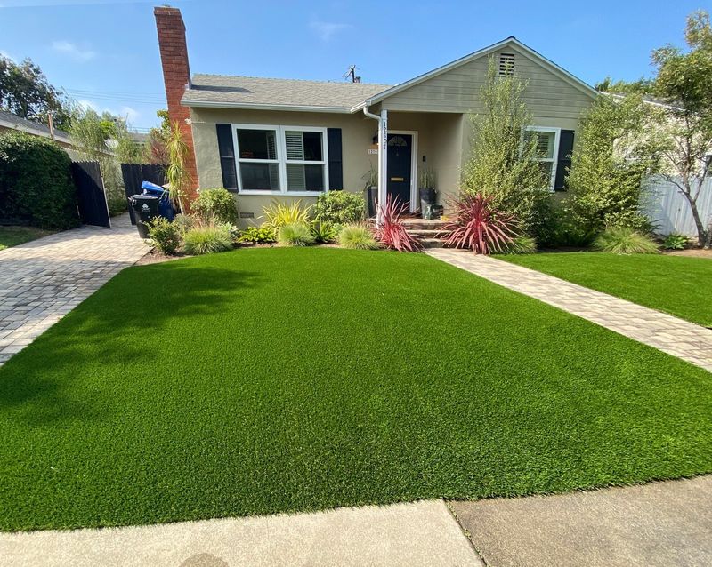 Artificial Grass Lawns