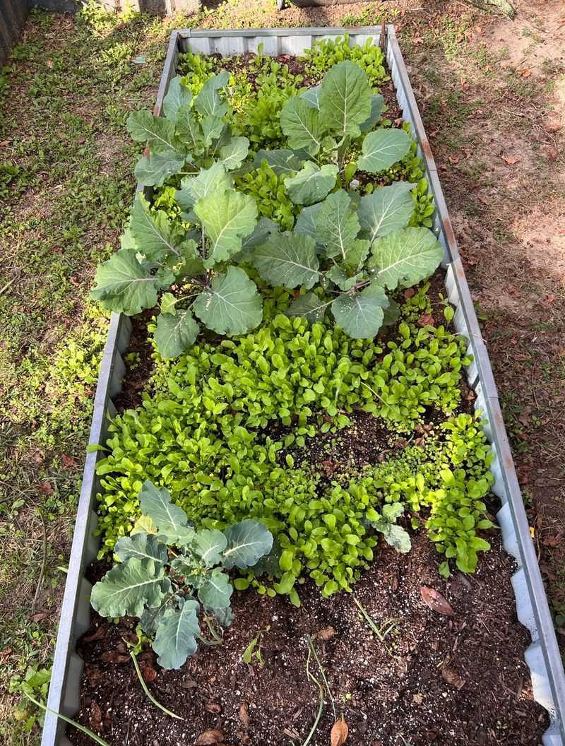 Gardening Stops In Winter