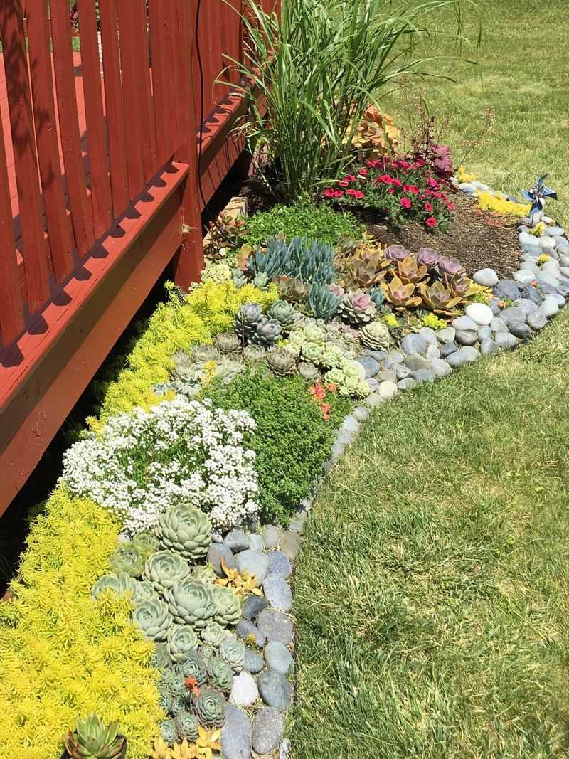 Plants Stand Out More Against Neutral Stone Tones