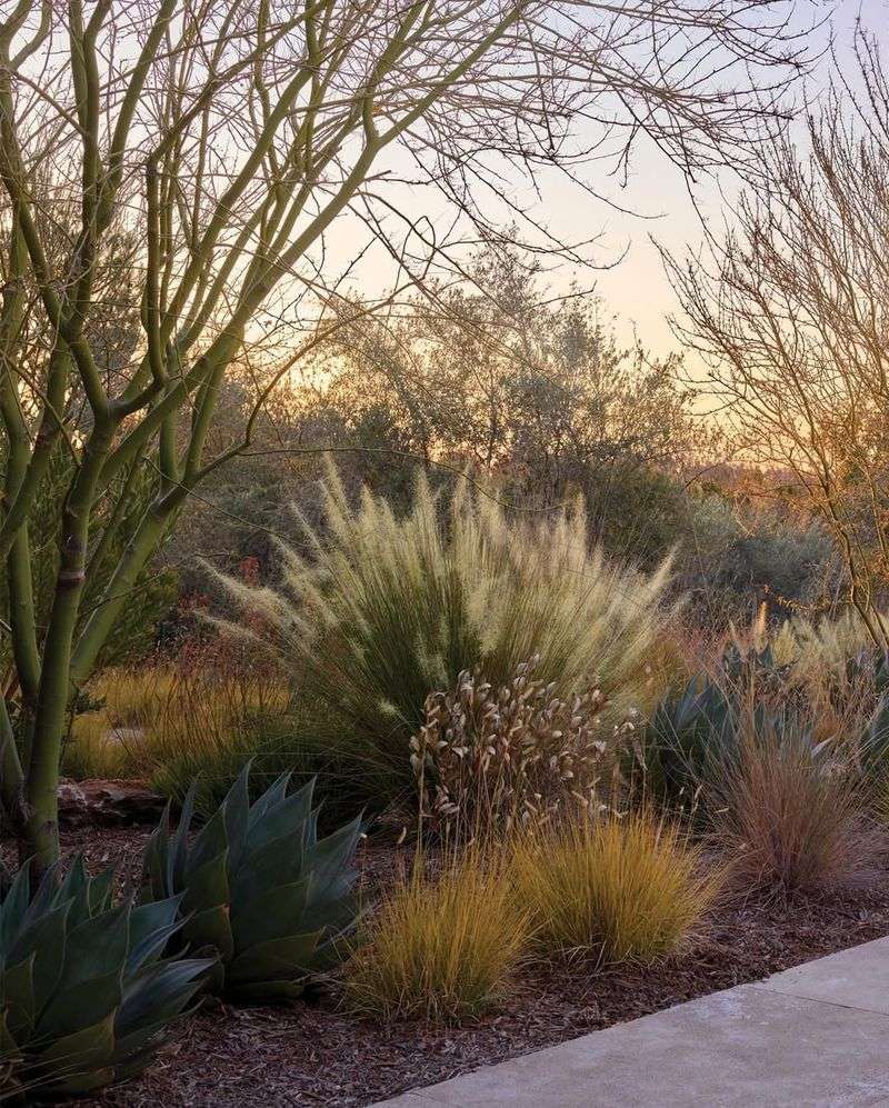 Low-Water Design Becomes A Long-Term Advantage