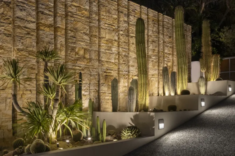Light Up Cactus Shapes With Subtle Night Lighting