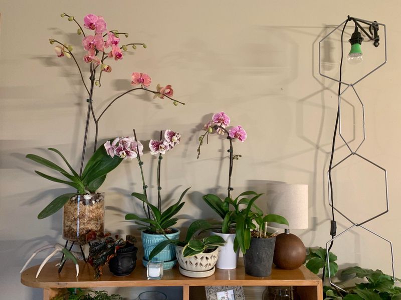 Avoid Cold Windowsills During Winter Nights