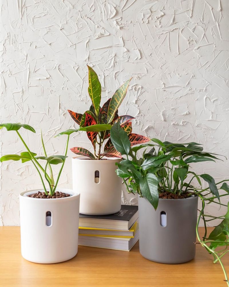 Use Self-Watering Planters