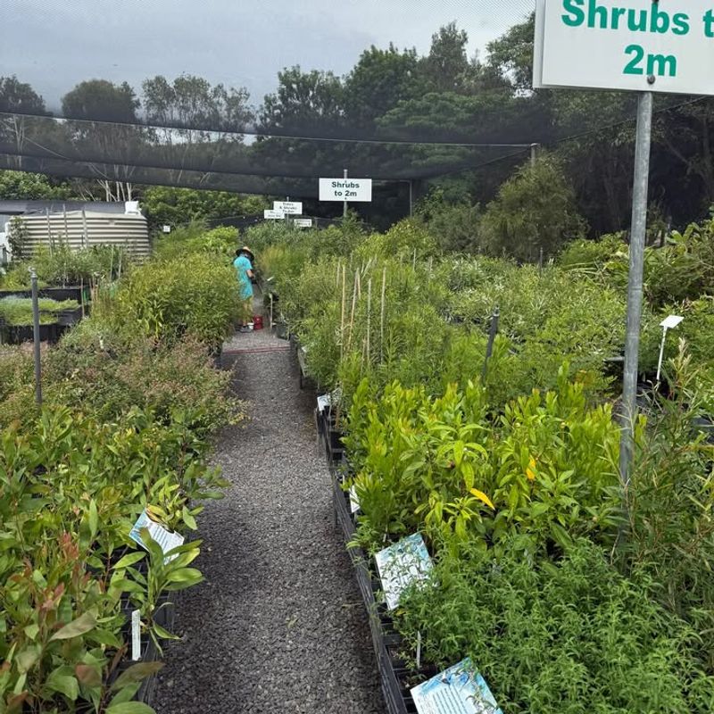 Why This Urban Nursery Shows No Signs Of Slowing Down