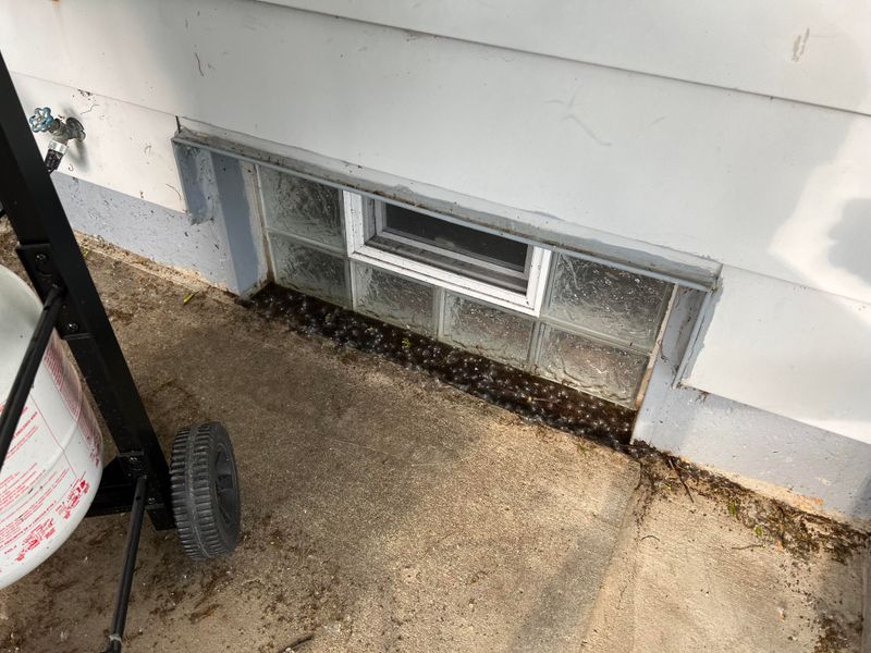 Foundation And Basement Windows