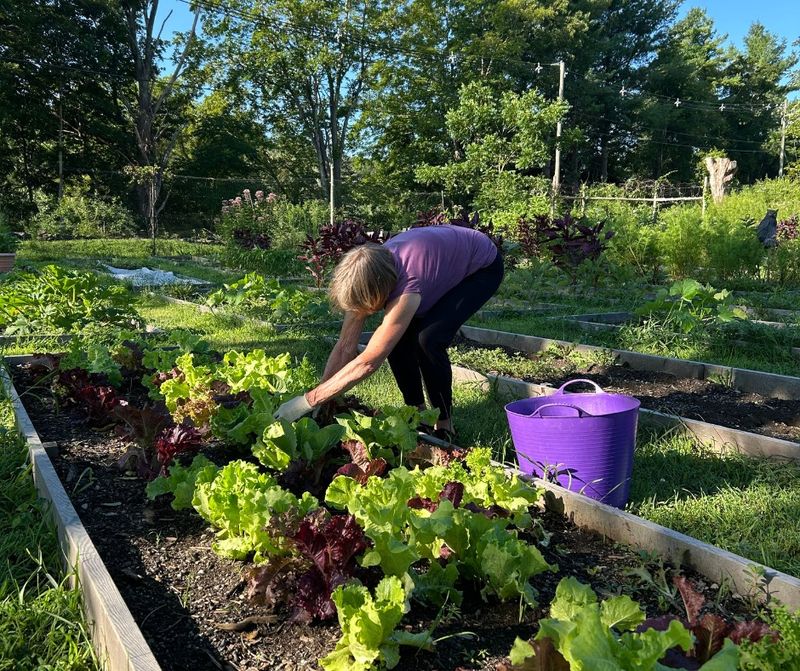 Long-Term Garden Maintenance Organization