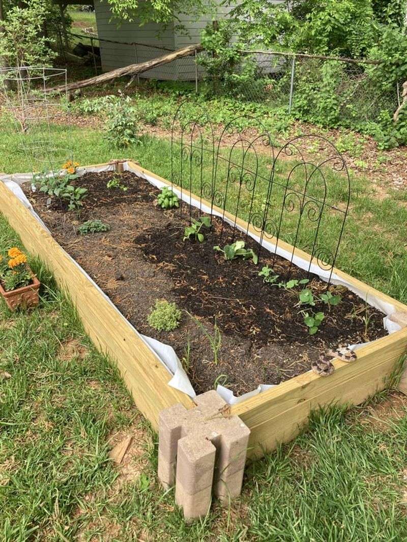 Safe Repellents And Deterrents