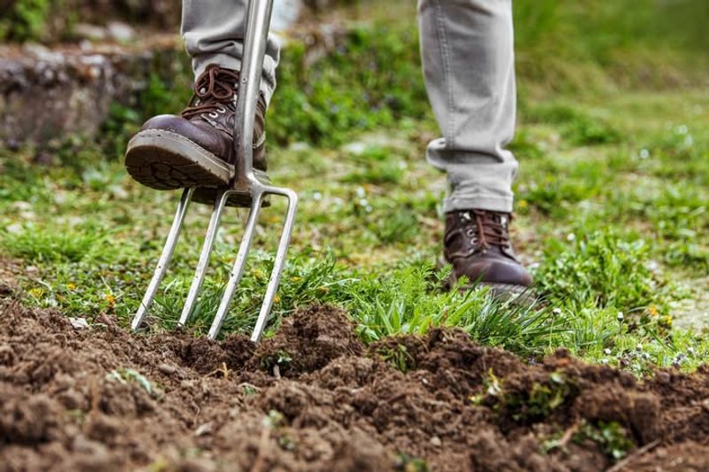 Garden Fork For Loosening Compacted Soil