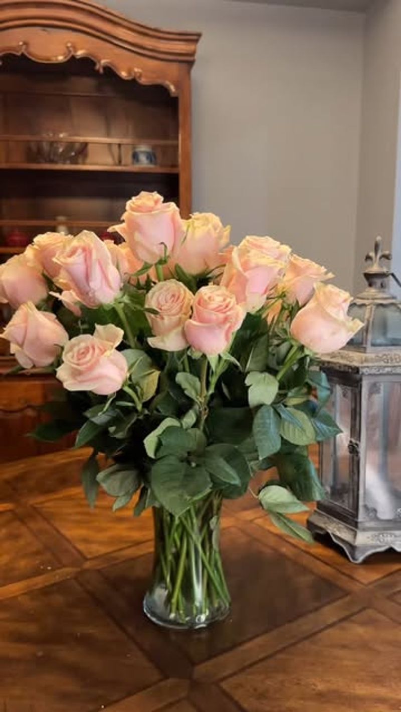 Cut Flower Freshness Extender