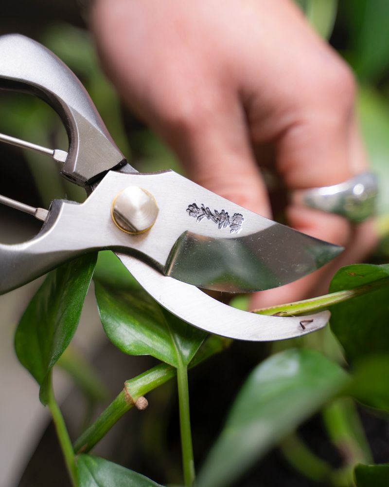 Material Quality Impacts Longevity And Performance