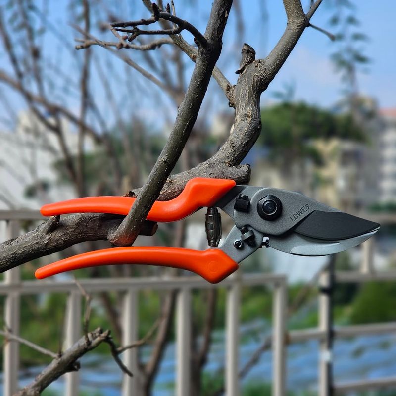 Branch Diameter Capacity Varies Significantly