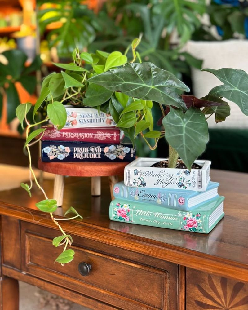 Group Small Plants On Coffee Tables And Shelves