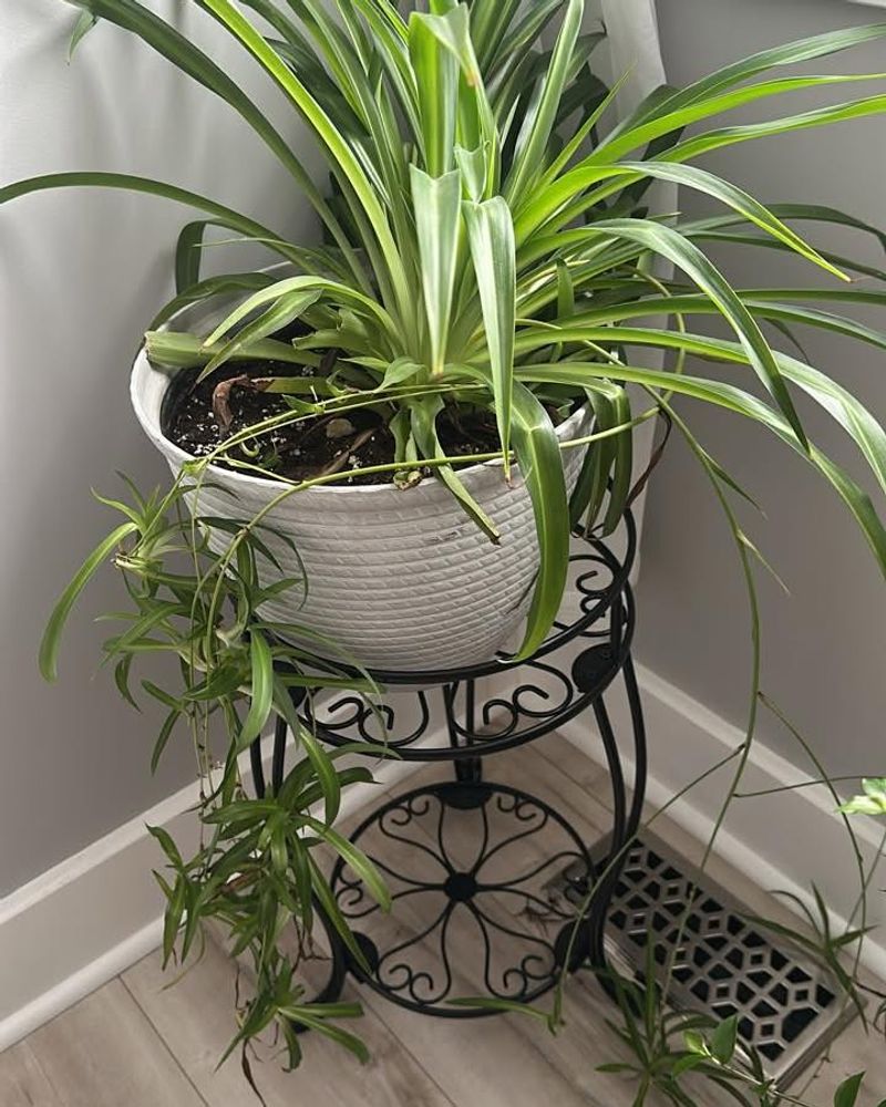 Hallway With Consistent Daylight